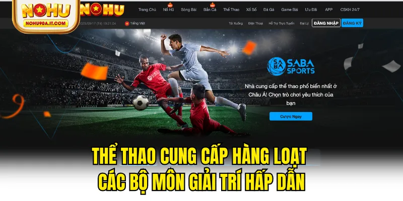Thể thao cung cấp hàng loạt các bộ môn giải trí hấp dẫn